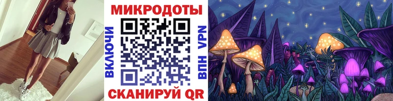 Псилоцибиновые грибы Psilocybe  Купить закладки  Бирск 
